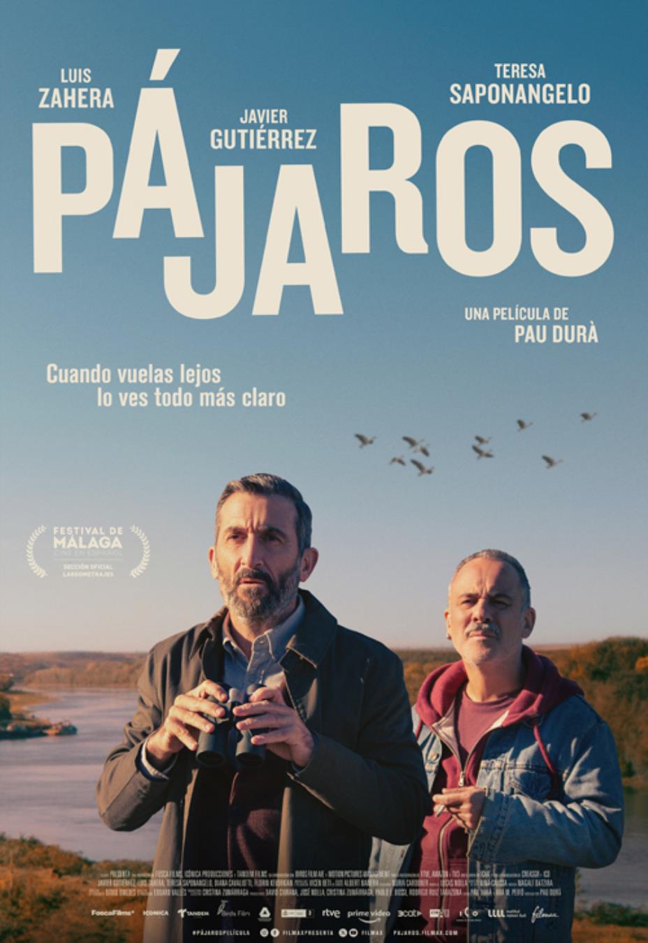 Pájaros