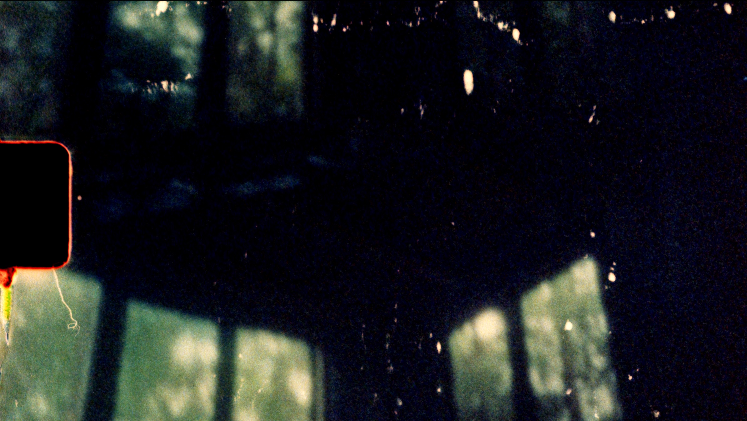 certaines observations. rose lowder & nicole remy pt. 2  