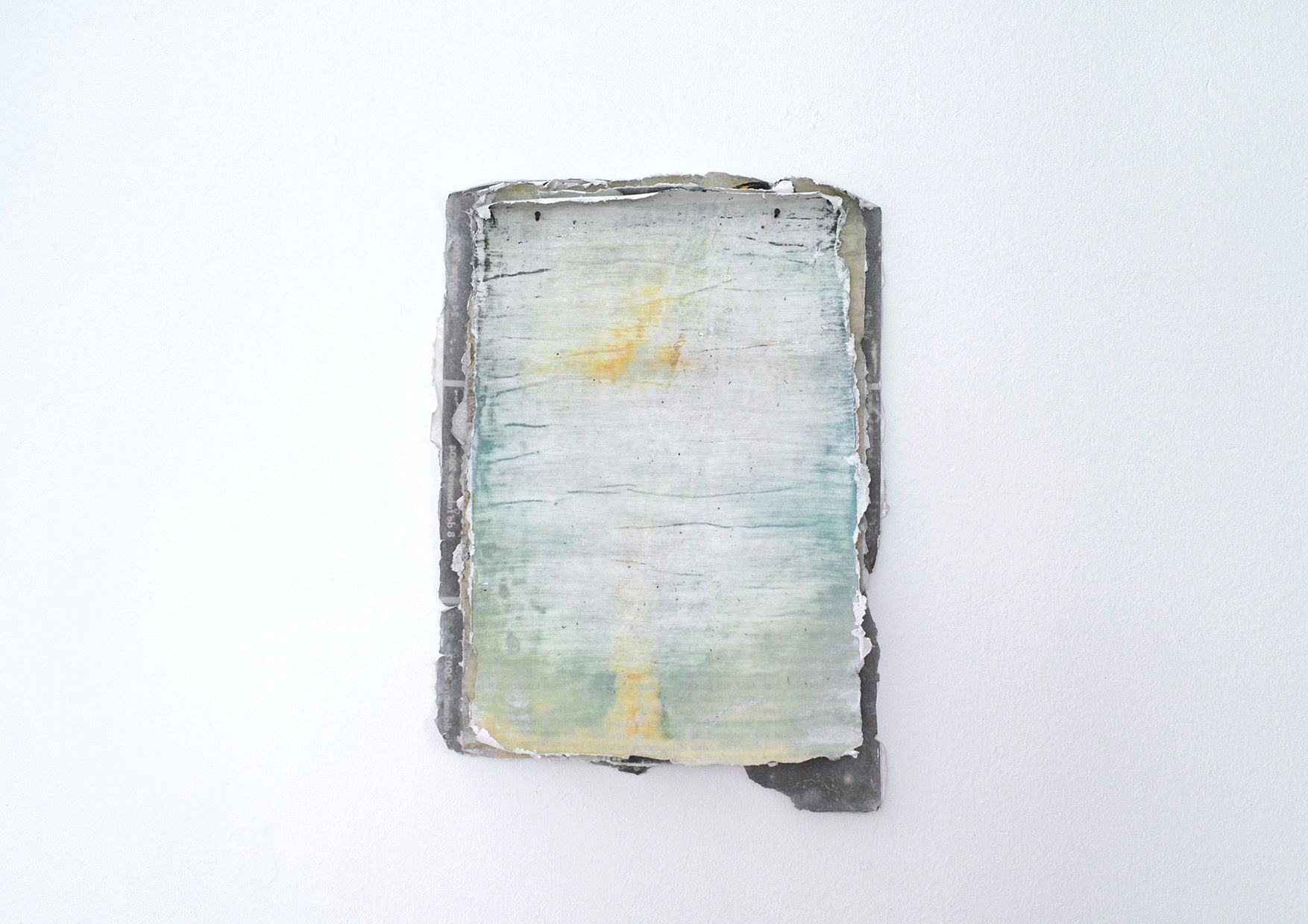 Patricia Dauder, Superficie