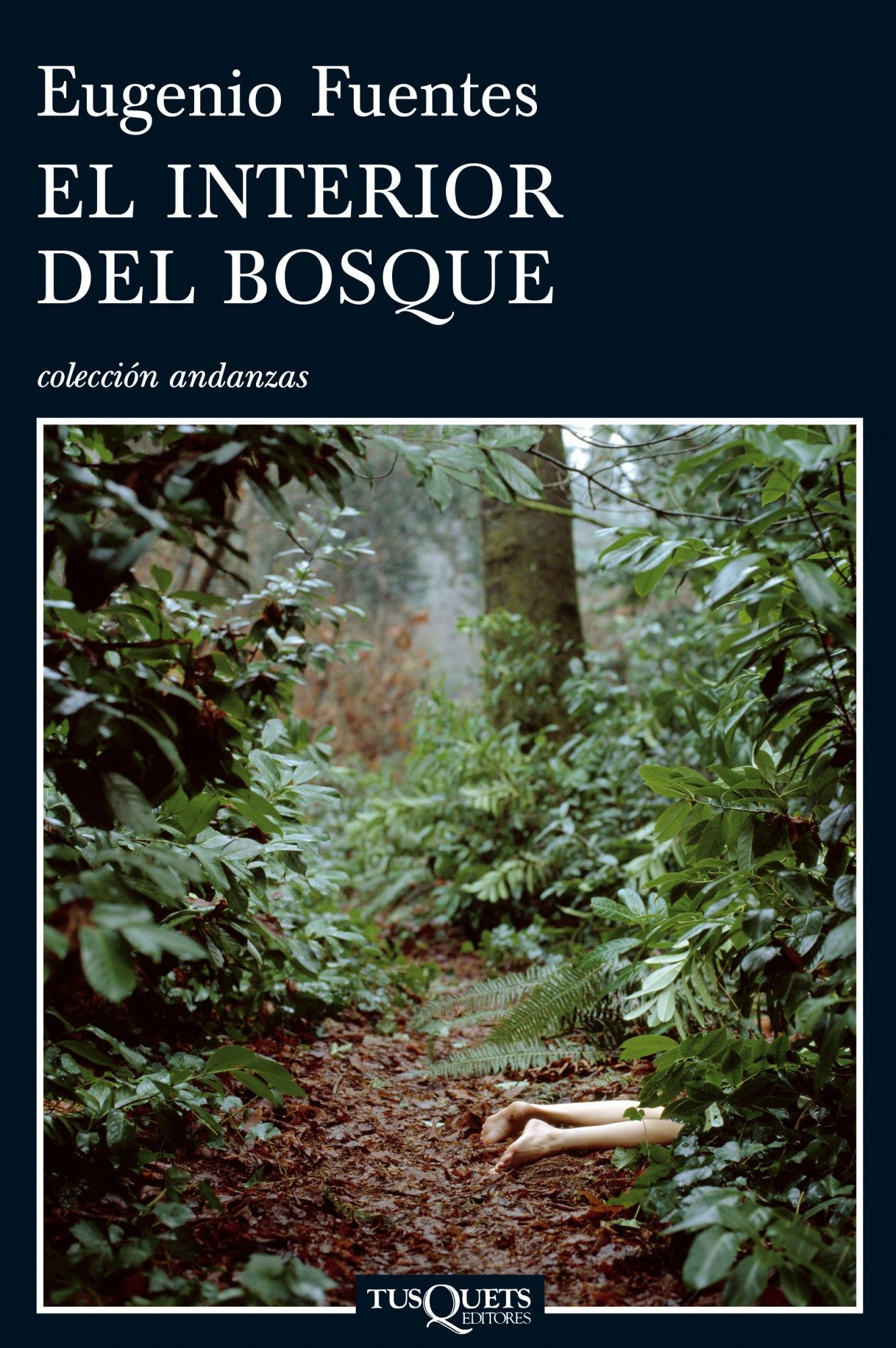 El interior del bosque, de Eugenio Fuentes 