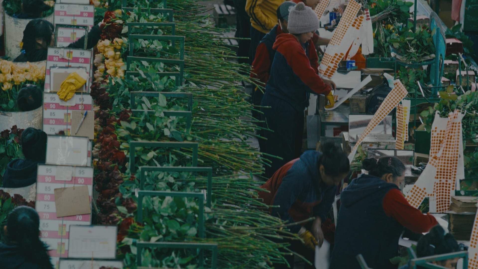 From Ecuador With Love