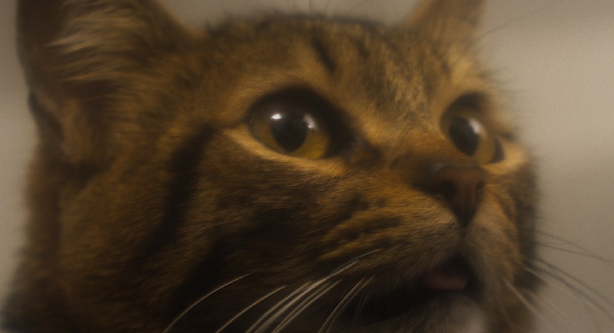 Pido al tiempo que no te lleve