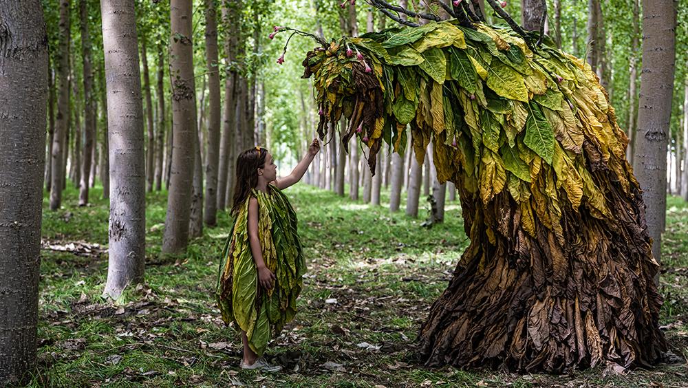 La mujer en el cine español contemporáneo