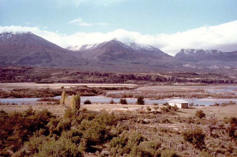 Corazón verde