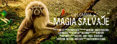 Colombia. Magia salvaje