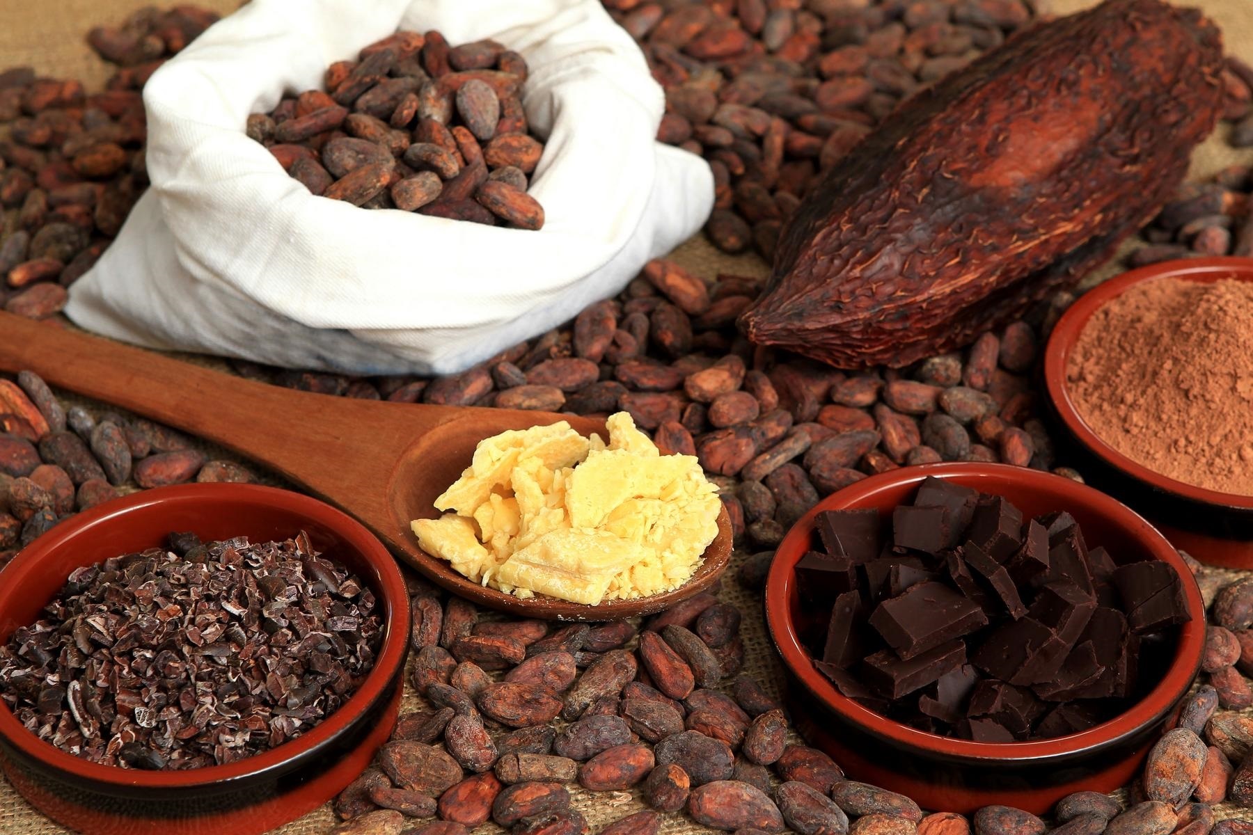 Cata de cacao de Ecuador