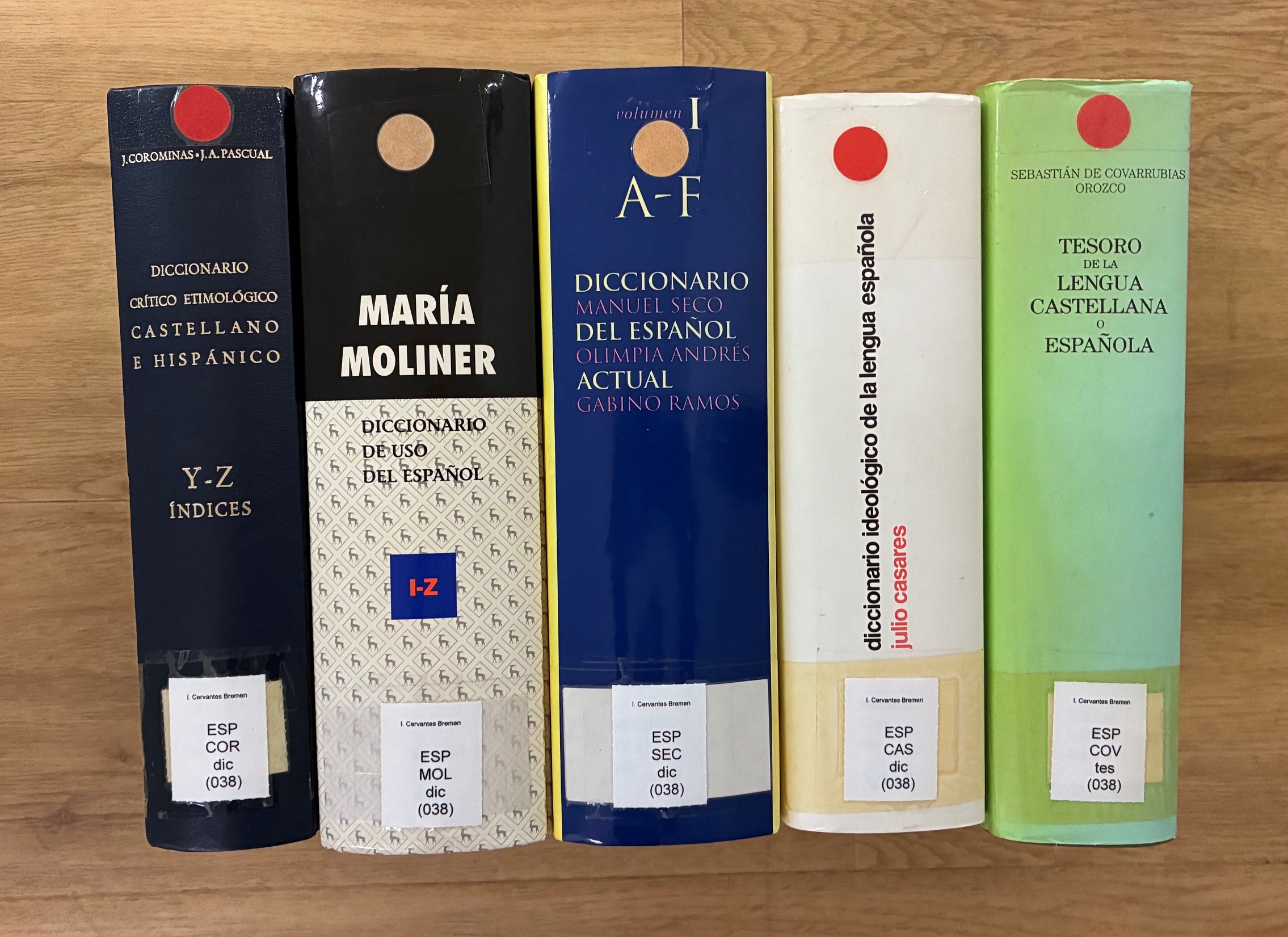 Día de la lengua española 