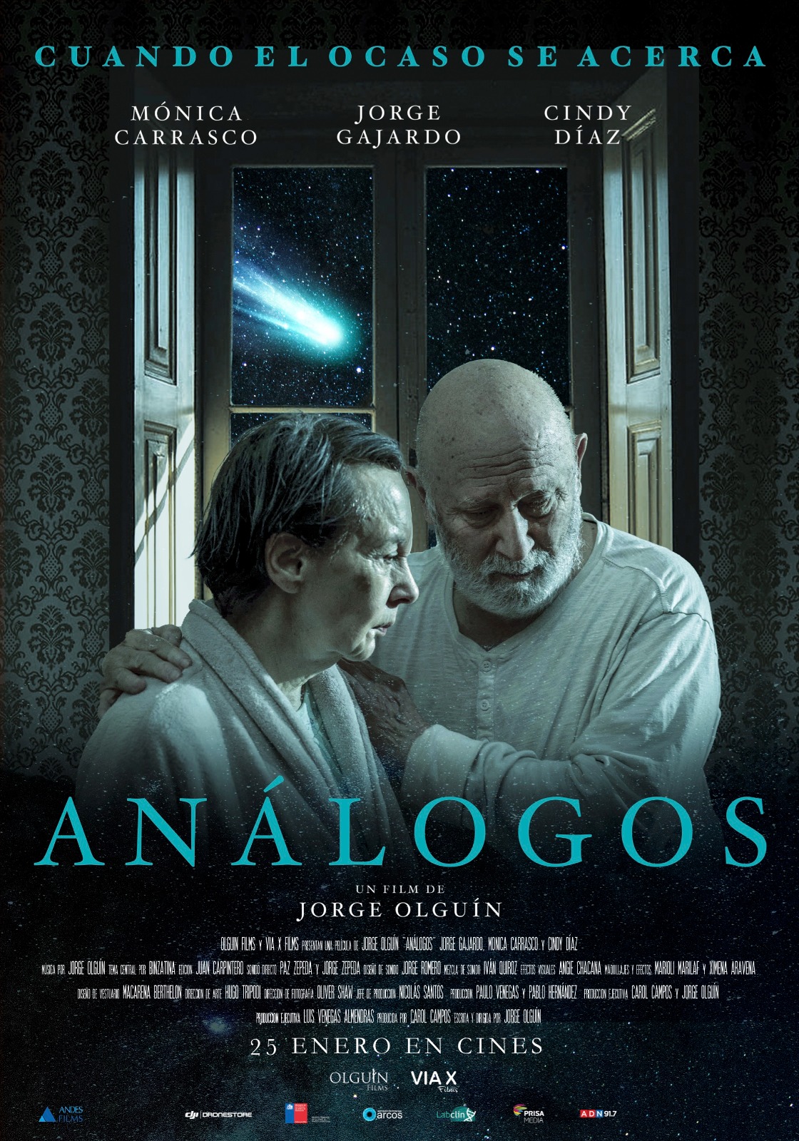 Los análogos