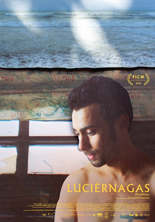 Luciérnagas