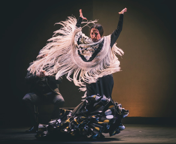 Recital flamenco