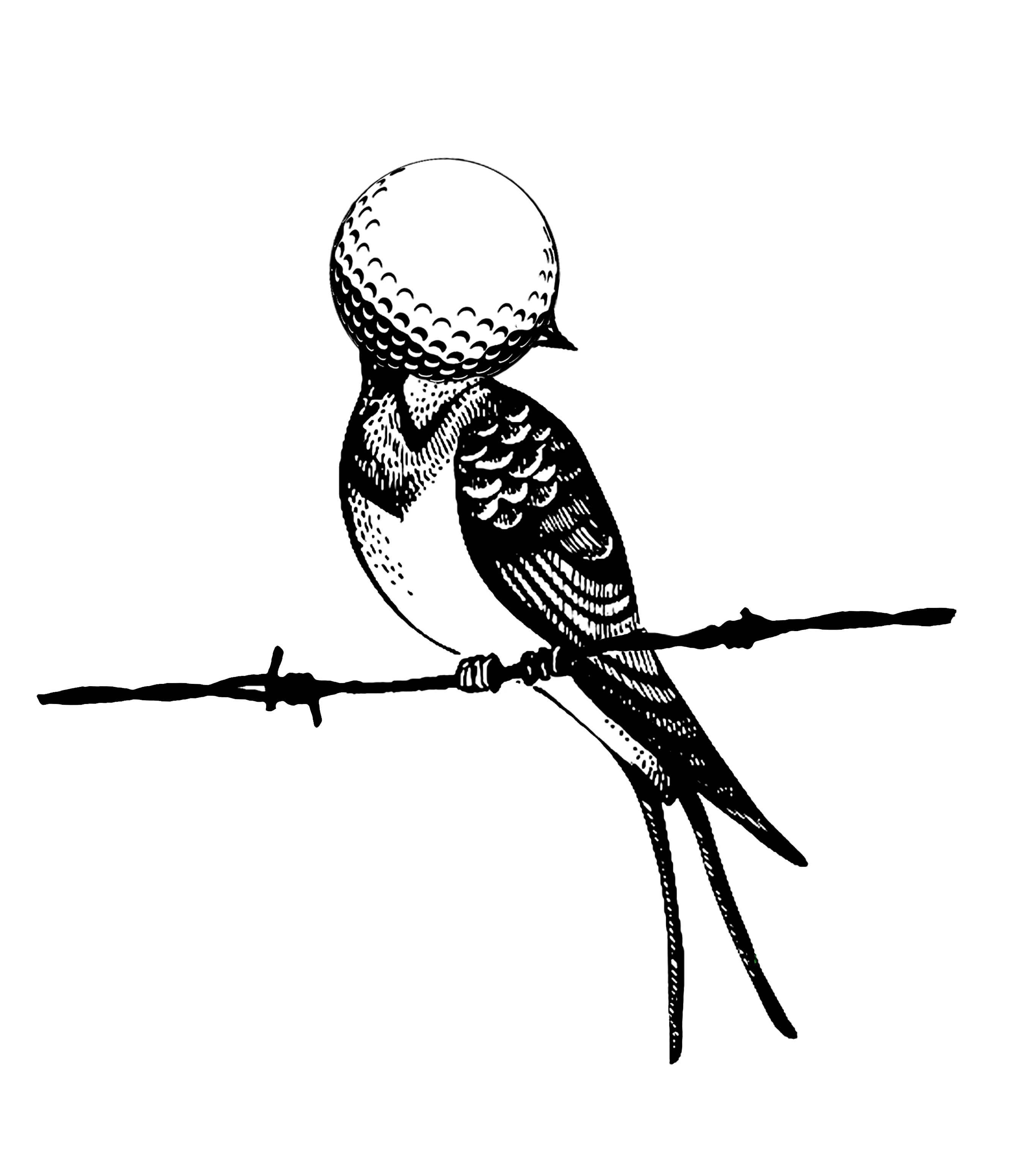 Agrupación Señor Serrano: Birdie