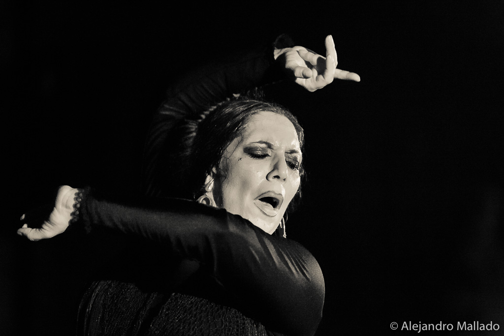 Zorongo Flamenco