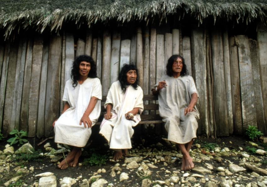 Hach winik. Los dueños de la selva