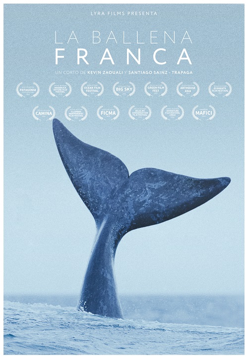 La ballena franca 