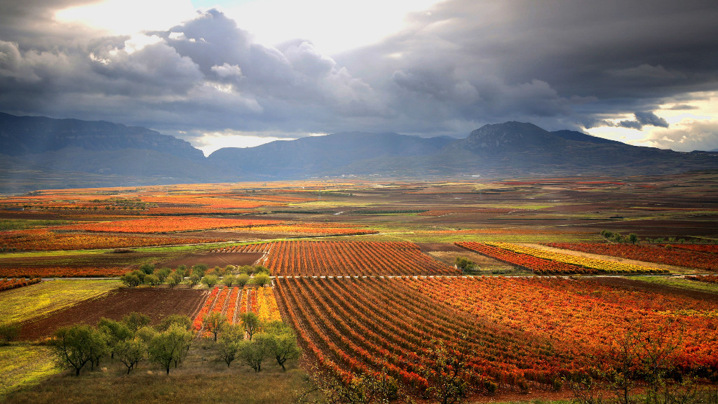 Rioja: past, present and future