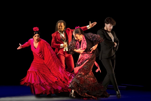 Gala flamenca