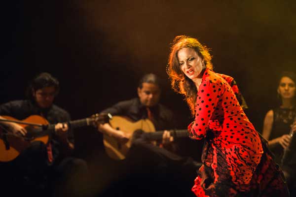Chicago Flamenco Festival - Carmen La Talegona / Las Compañeras, Featuring Melody Vasquez