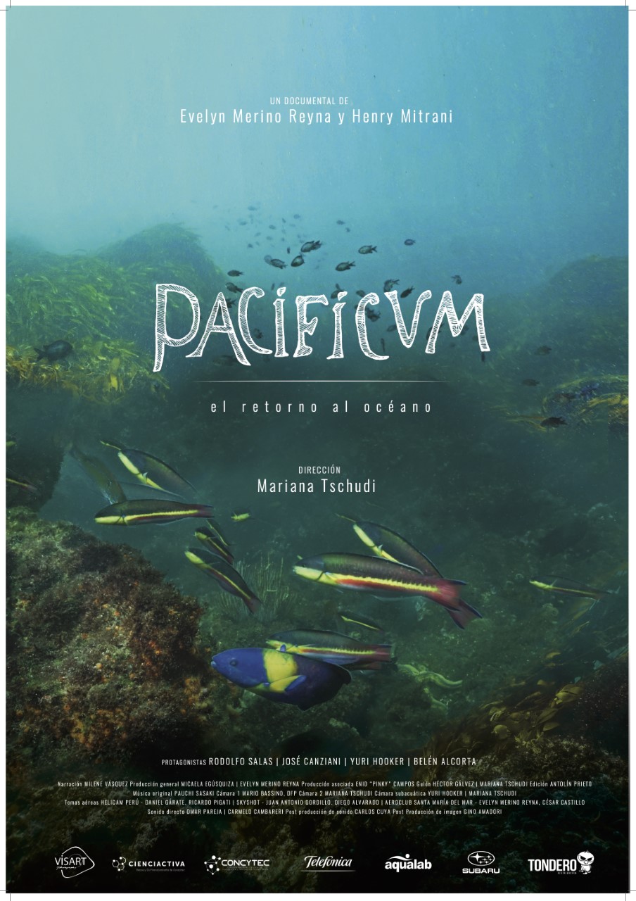Pacificum, el retorno al océano