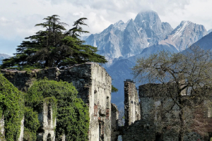 Sulle tracce del conte di Fuertes. Storia e natura nella riserva Pian di Spagna