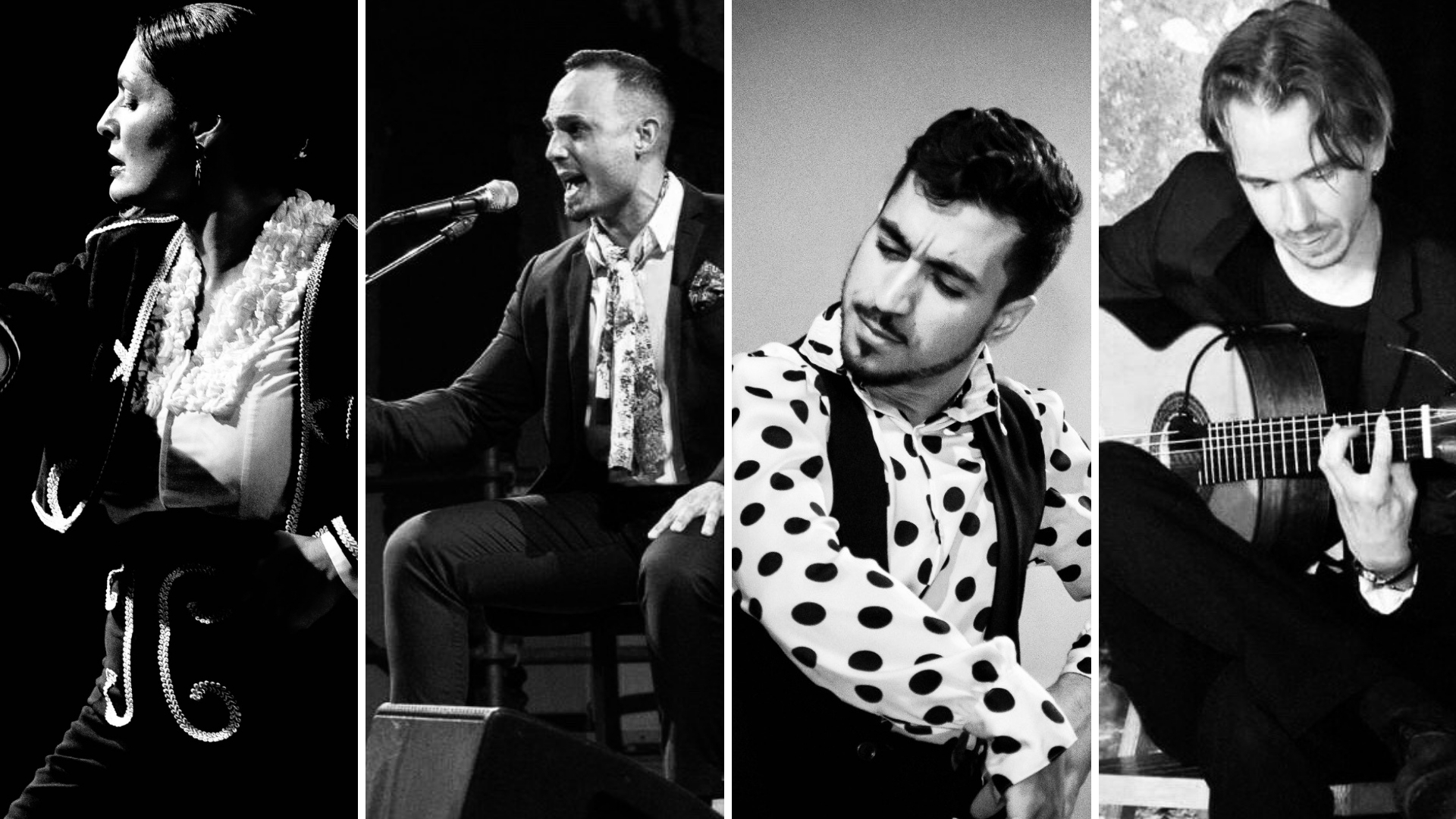 Flamenco Sin Fronteras