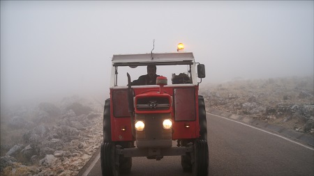 El rayo