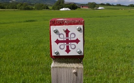 Al encuentro de San Olav