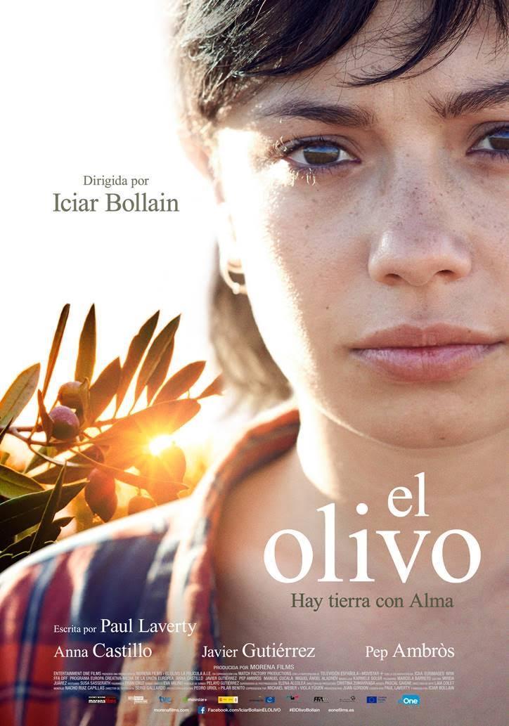 L'ulivo 
