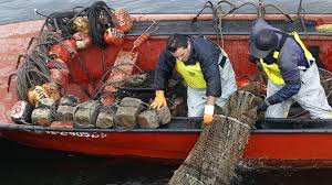 La pesca tradicional en Galicia, un ejemplo de alianza entre el hombre y la naturaleza 