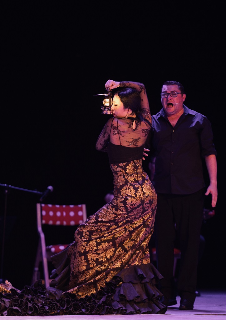 Iniciación al flamenco