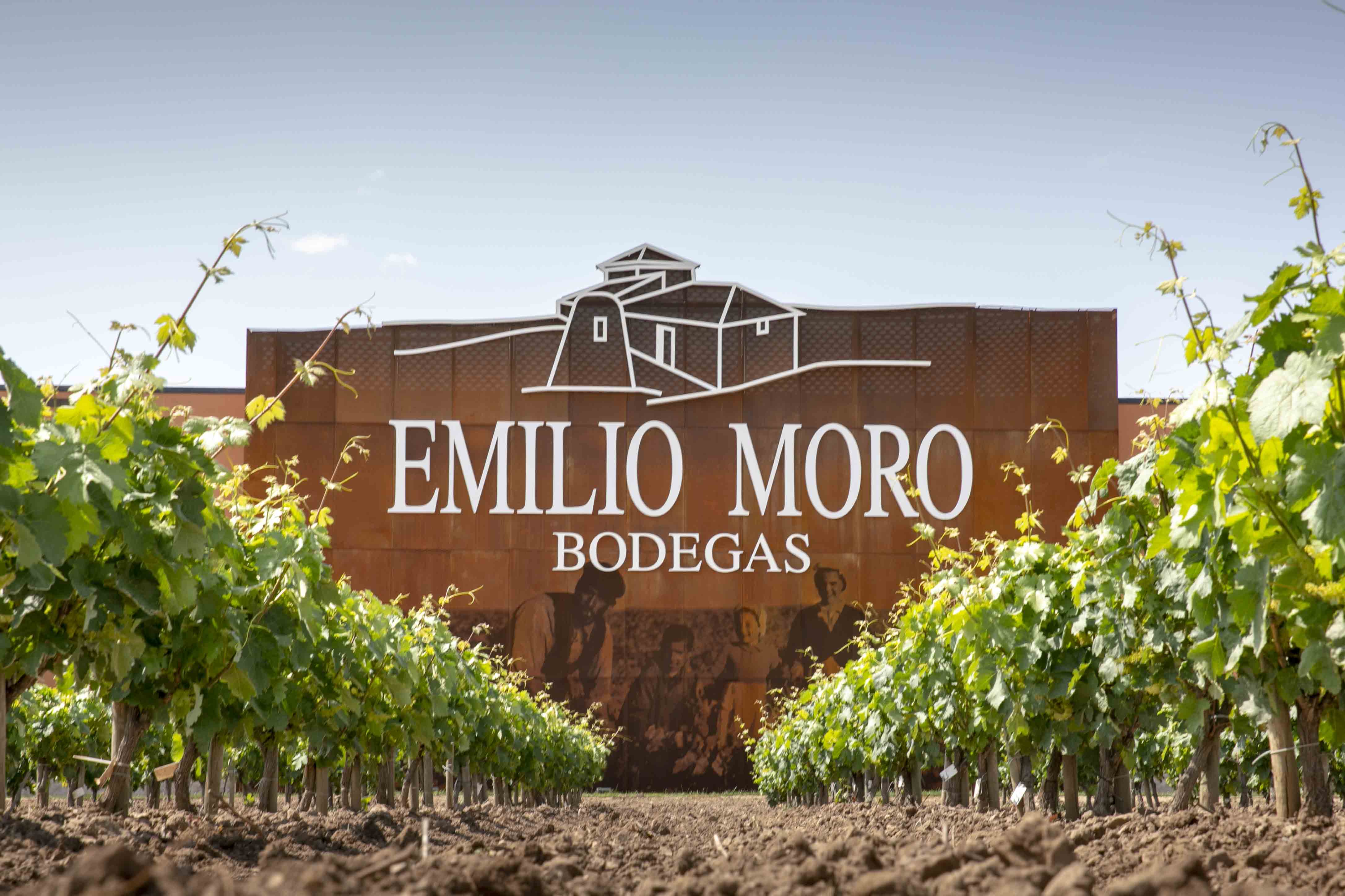 Descubre los vinos de Bodegas Emilio Moro 