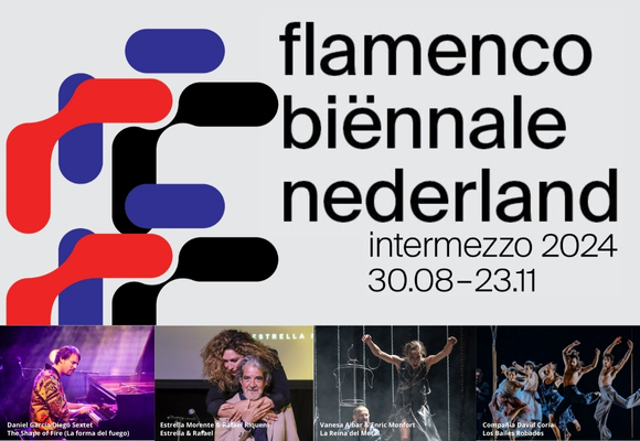 Flamenco Biënnale Intermezzo 