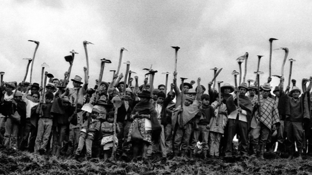 Nuestra voz de tierra, memoria y futuro