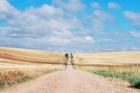 Un camino para las estrellas, del Camino Francés al Camino Portugués