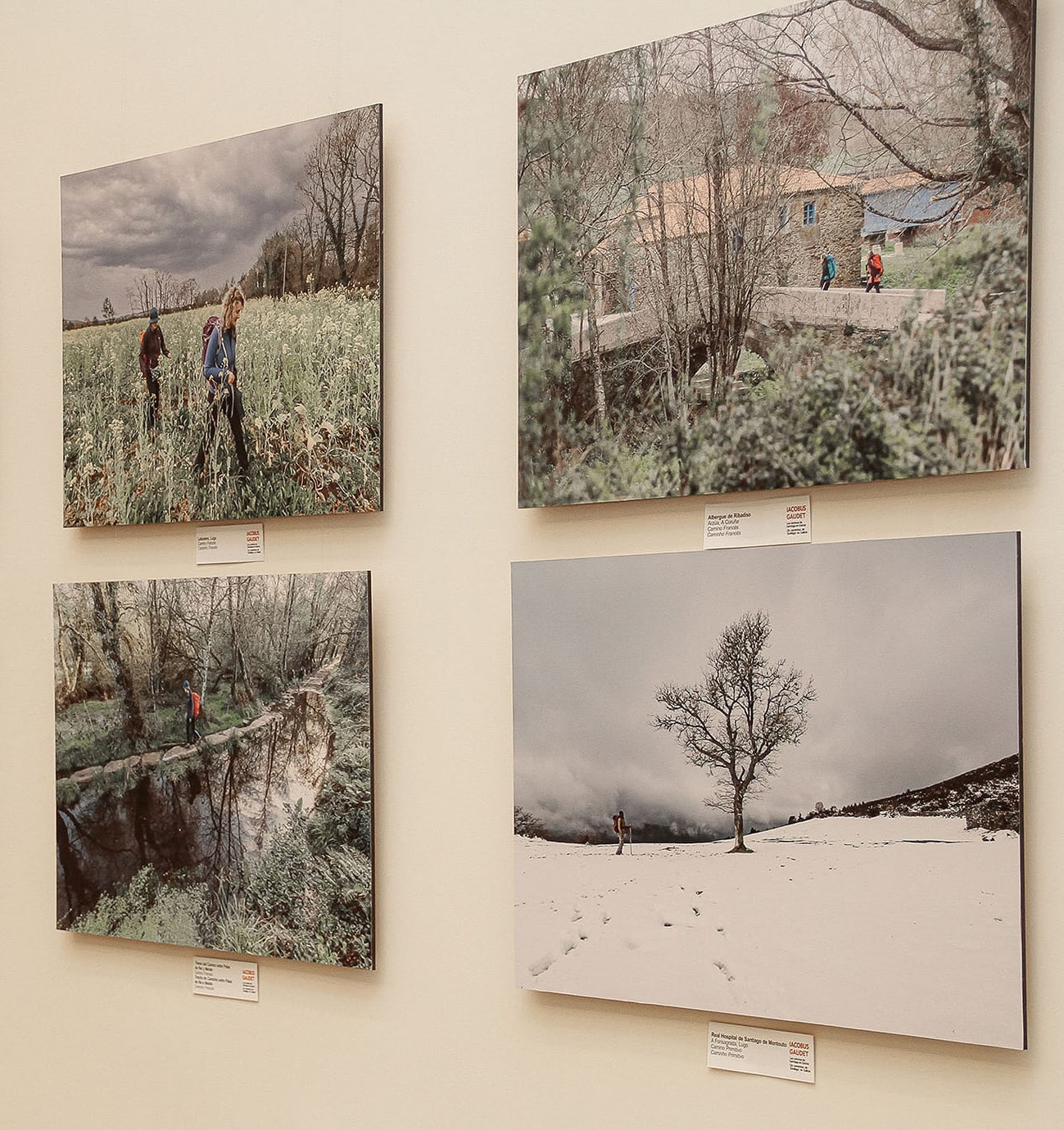 O caminho que mudou minha vida