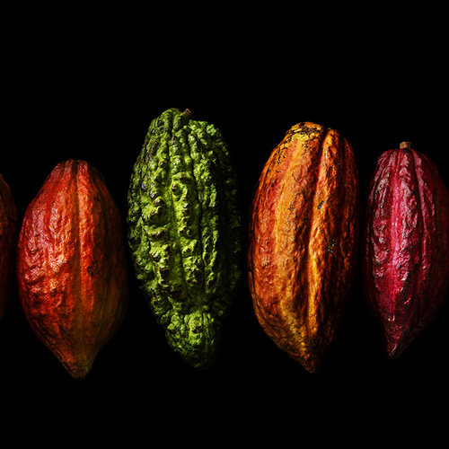 La excelencia del chocolate latinoamericano