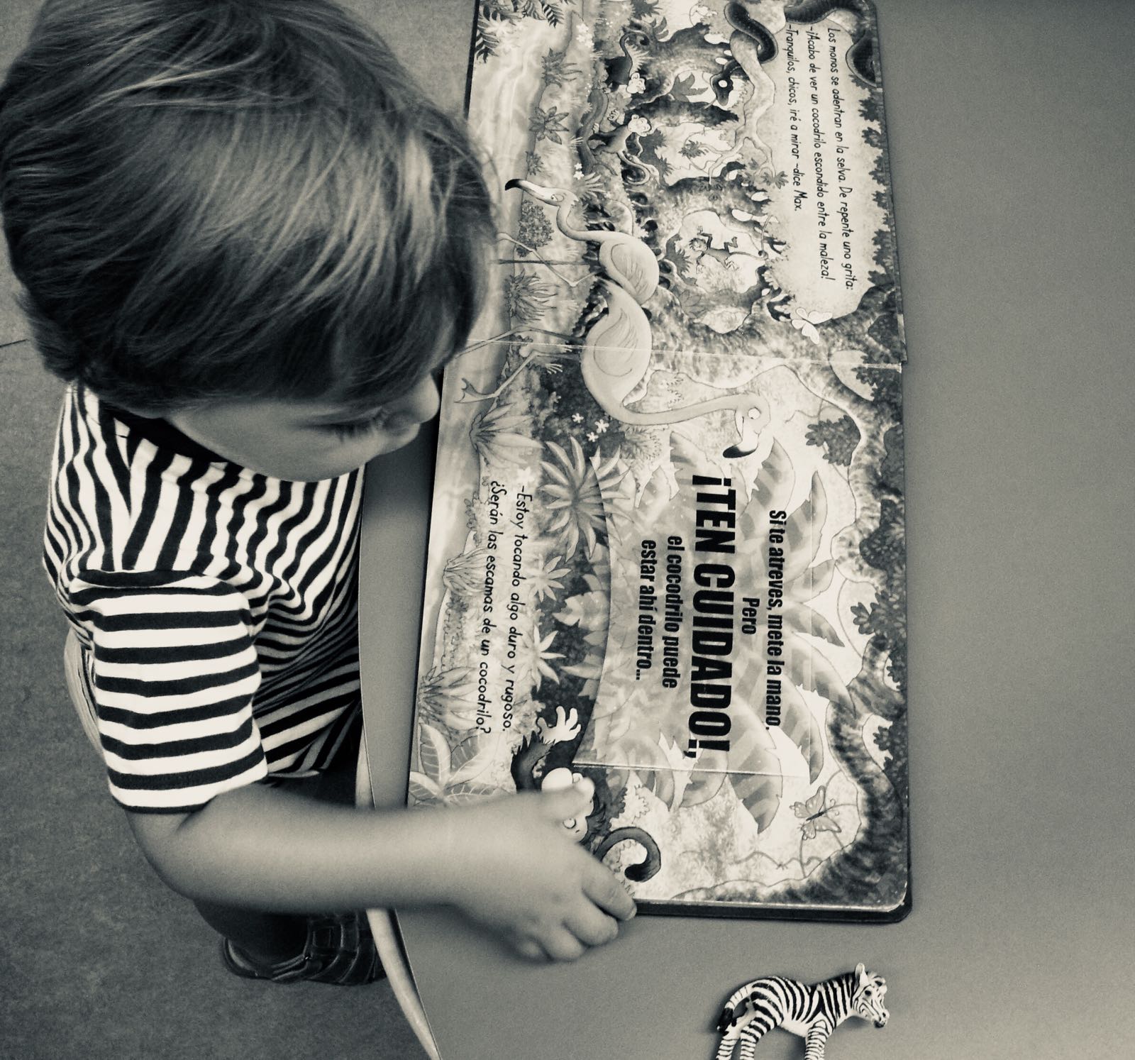 Bookcity.Érase una vez la Eñe