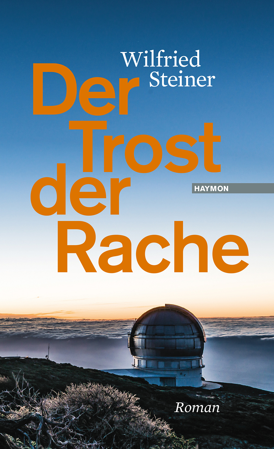 DER TROST DER RACHE