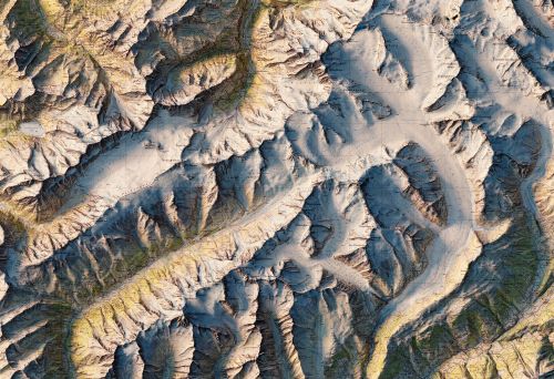 Construyendo desde las raíces: cómo el diseño forma a las comunidades