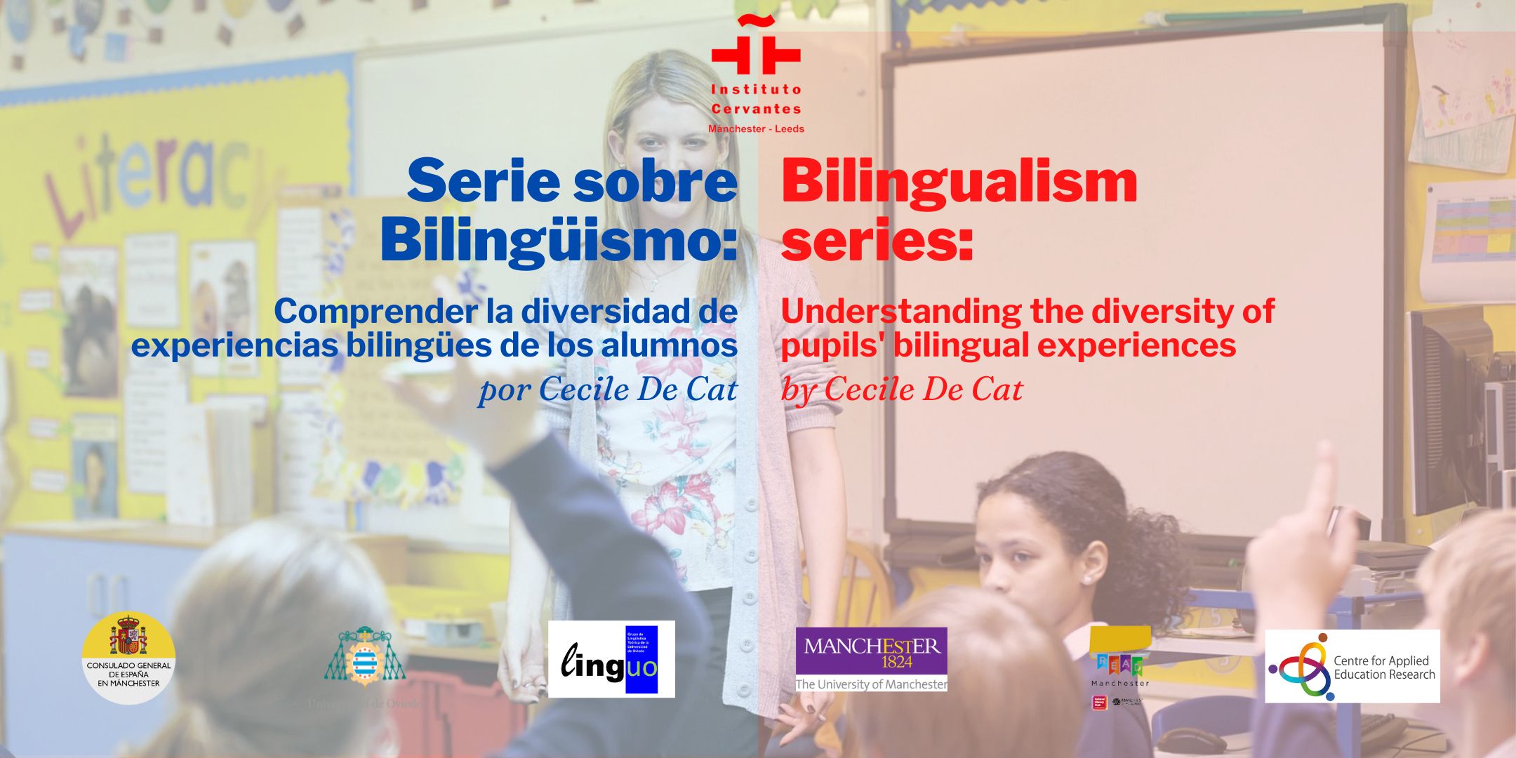 Understanding the diversity of pupils' bilingual experiences