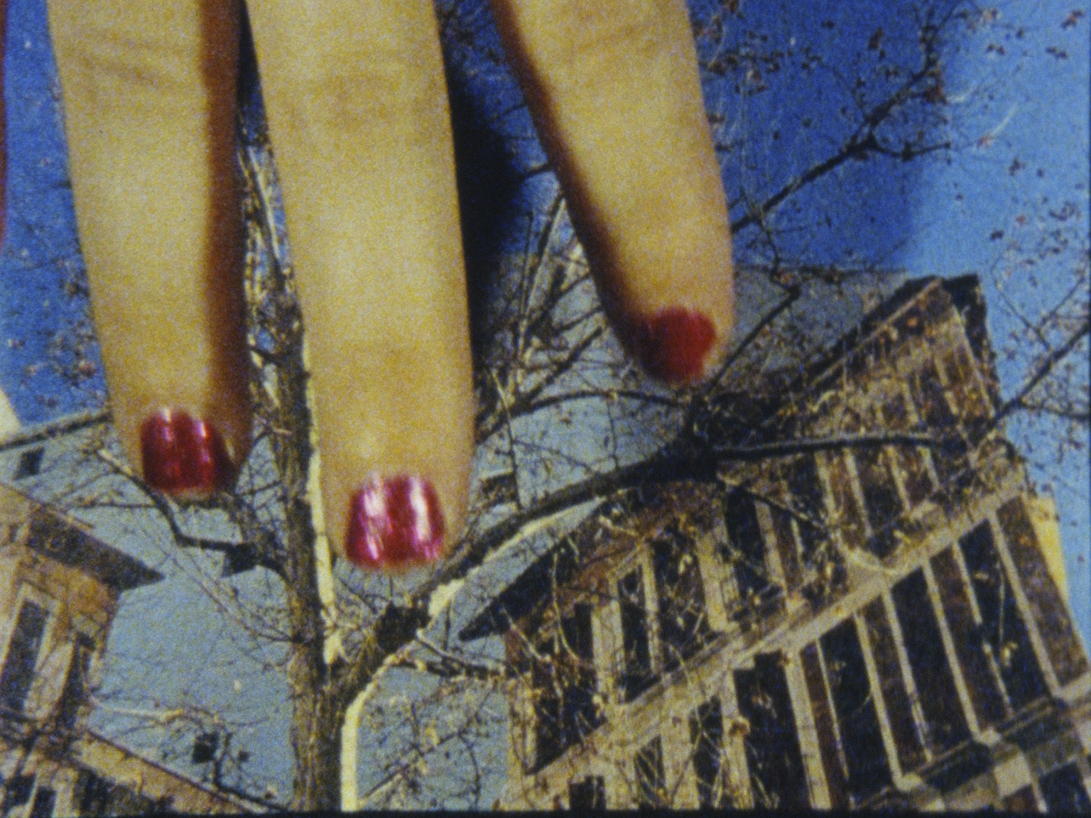 exf f. - tage des experimentellen Films