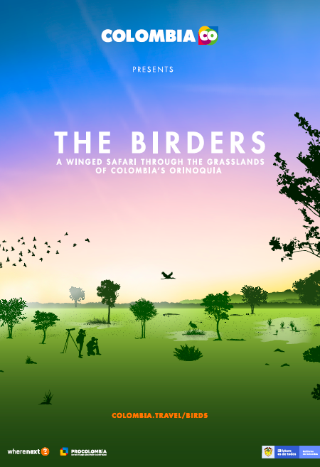 The Birders. A melodic Journey Through Northern Colombia