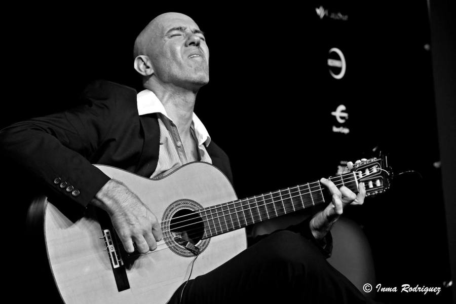 Flamenco interactivo