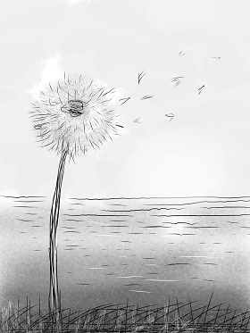 Nací el 21 en primavera… X Jornada Internacional de poesía española contemporánea