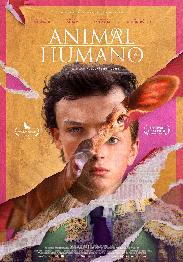 Animal humano