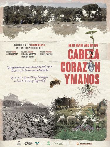 Cabeza, corazón y manos