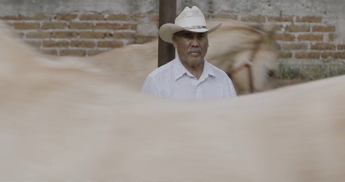 La soledad de la memoria