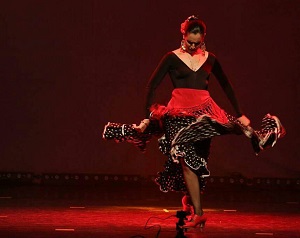  &#1505;&#1491;&#1504;&#1492; &#1493;&#1502;&#1493;&#1508;&#1506; &#1508;&#1500;&#1502;&#1504;&#1511;&#1493;