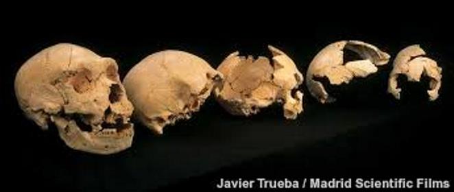 Atapuerca: el misterio de la evolución humana