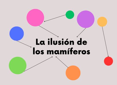Conectando: La ilusión de los mamíferos