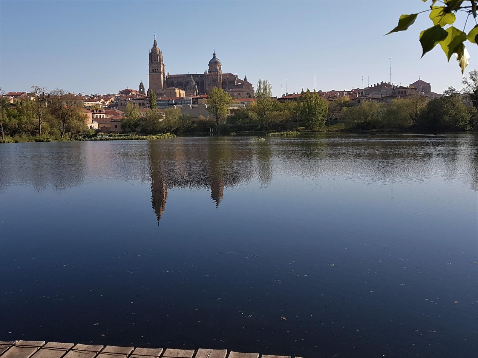 El camino de la lengua castellana 